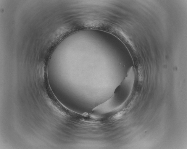 X0000088600637200705251215