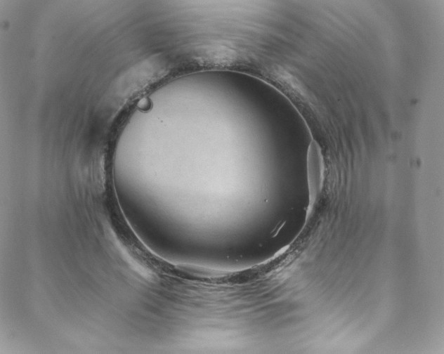 X0000088600638200705251215