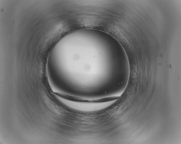 X0000088600639200705251215