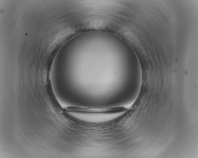 X0000088600640200705251215