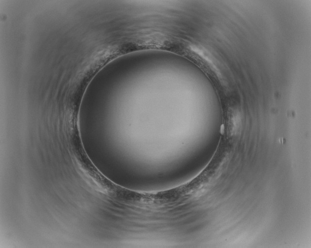 X0000088600641200705251215