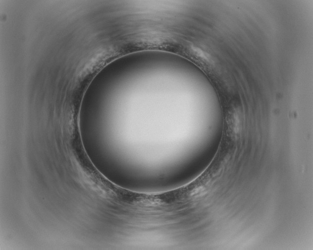 X0000088600642200705251215