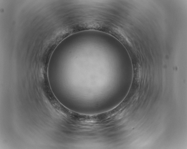 X0000088600643200705251215