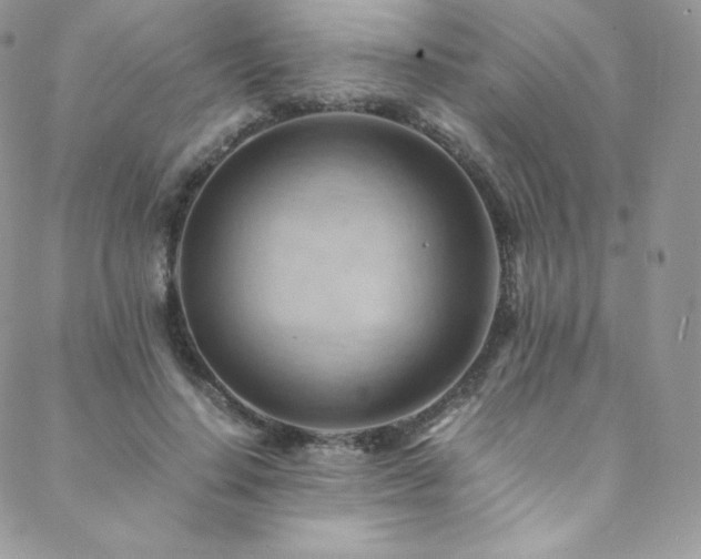 X0000088600644200705251215