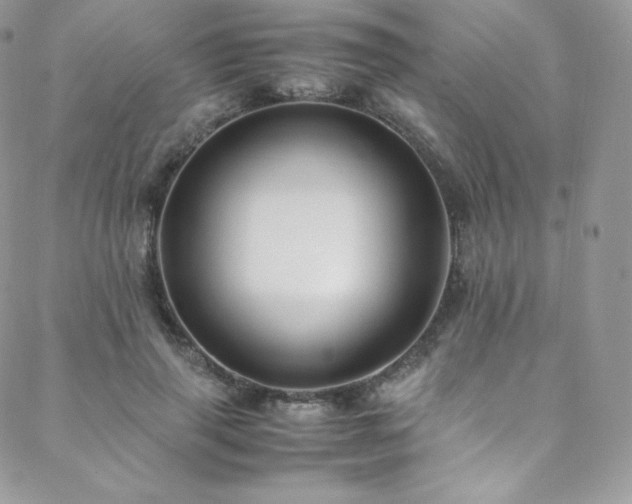 X0000088600645200705251215