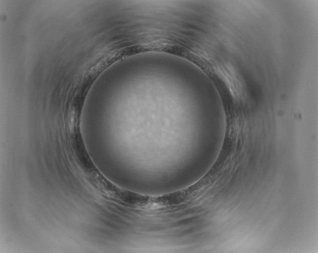 X0000088600647200705251215