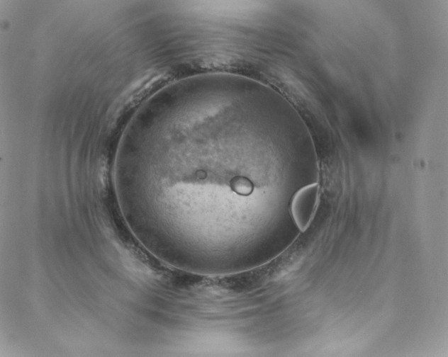 X0000088600648200705251215