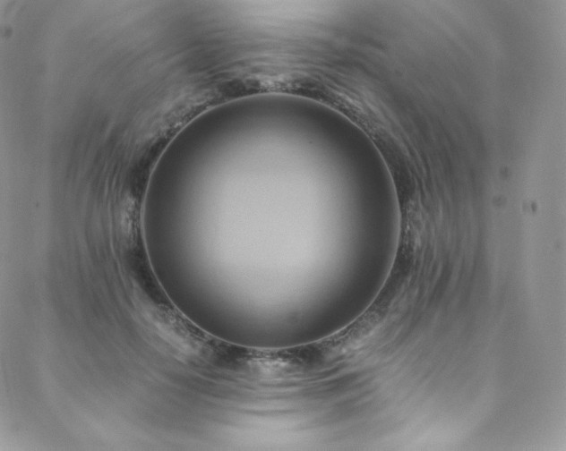 X0000088600650200705251215