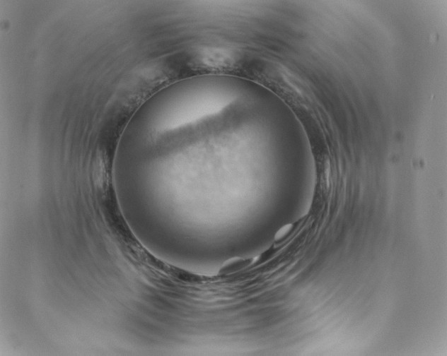 X0000088600651200705251215