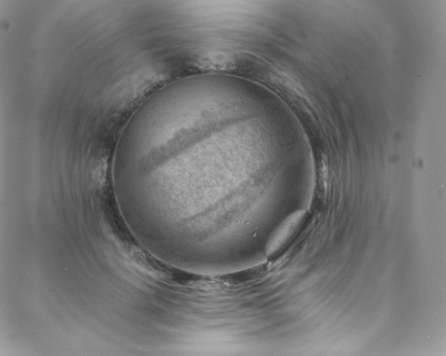 X0000088600652200705251215