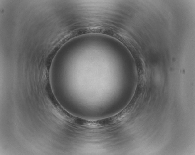 X0000088600654200705251215