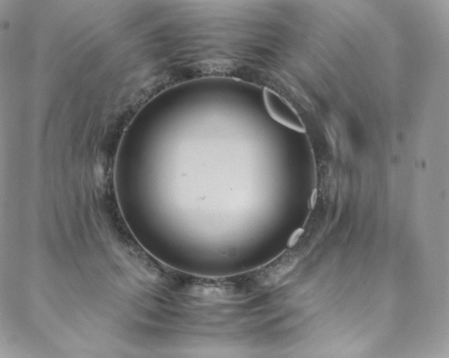 X0000088600655200705251215