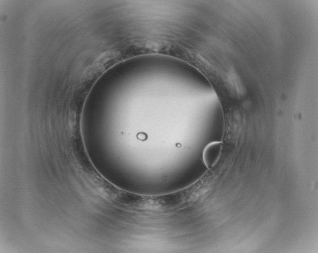 X0000088600656200705251215