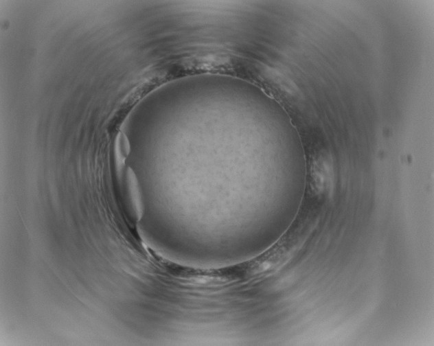 X0000088600657200705251215