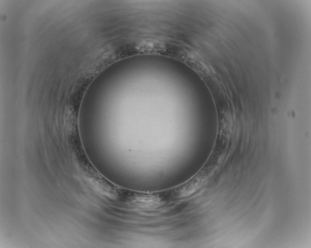 X0000088600659200705251215