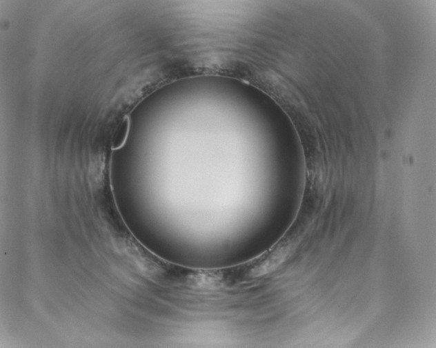 X0000088600660200705251215