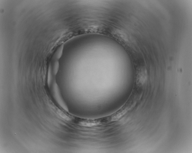 X0000088600661200705251215