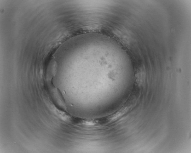 X0000088600662200705251215