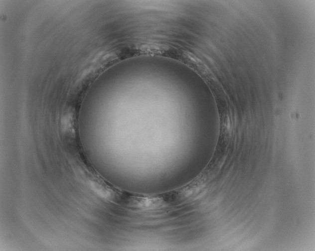 X0000088600663200705251215