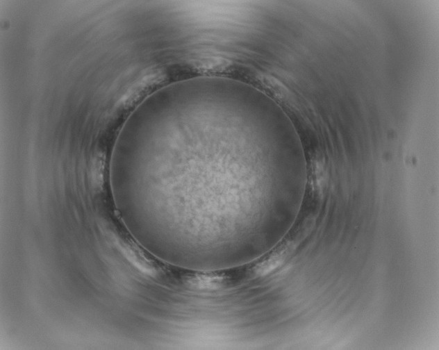 X0000088600664200705251215