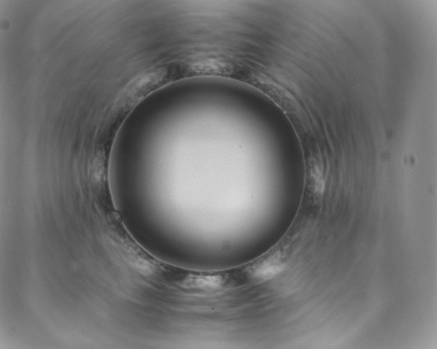 X0000088600665200705251215