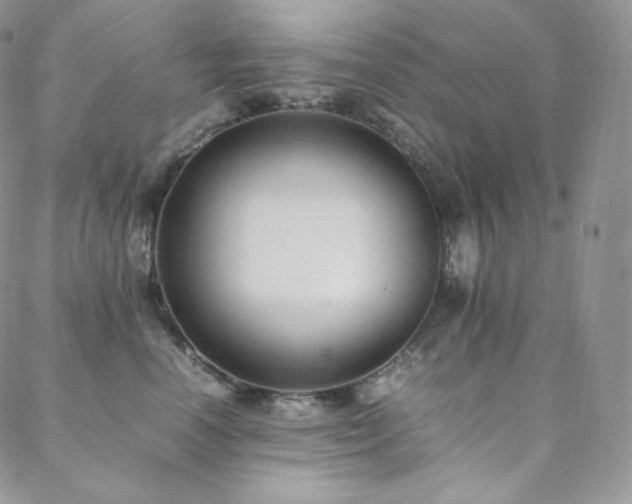 X0000088600666200705251215