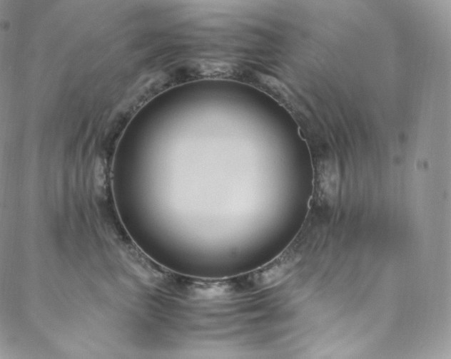 X0000088600667200705251215