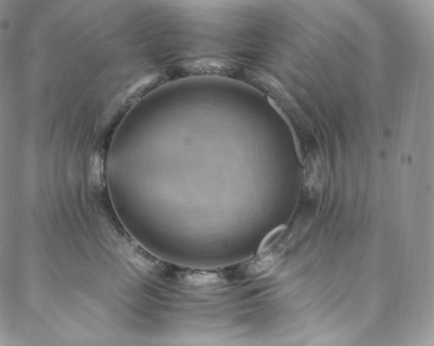 X0000088600669200705251215