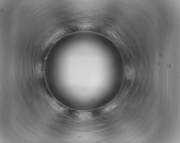 X0000088600670200705251215