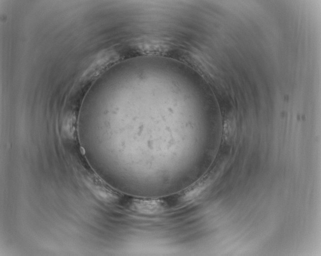 X0000088600671200705251215