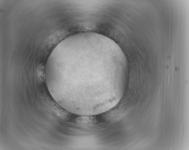 X0000088600672200705251215