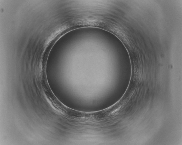 X0000088600674200705251215