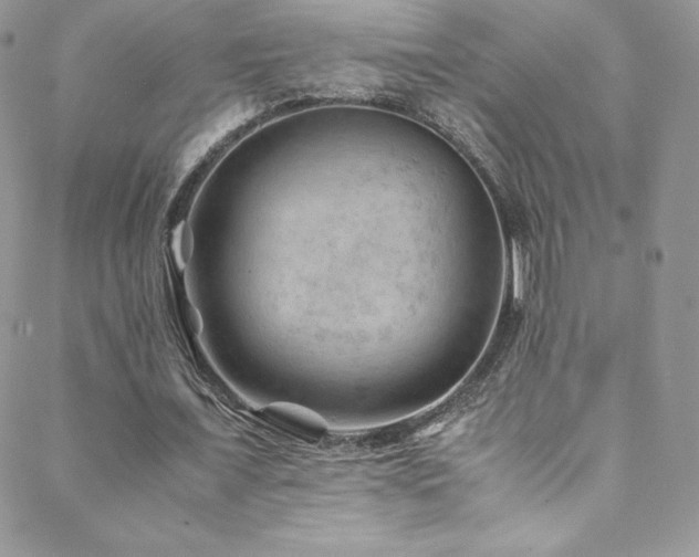 X0000088600675200705251215