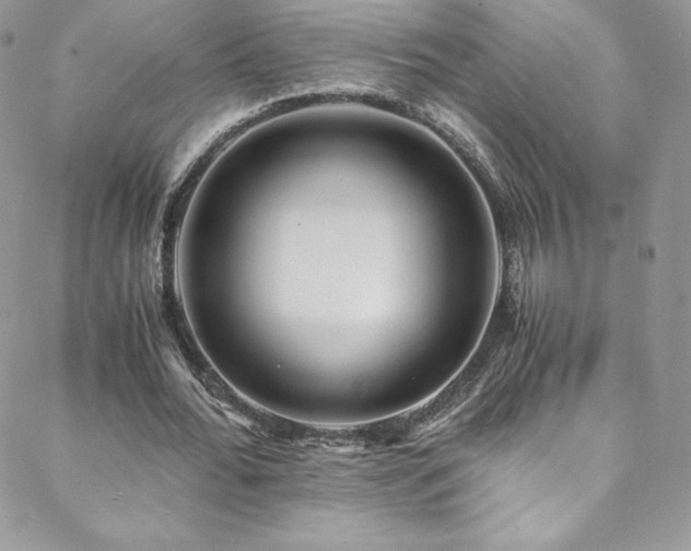 X0000088600676200705251215