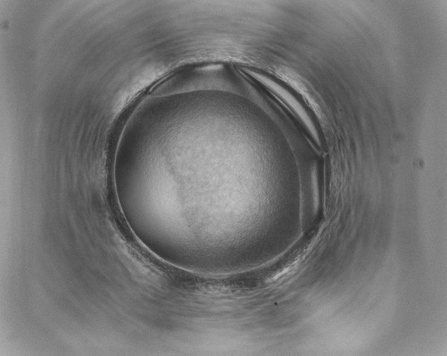 X0000088600677200705251215