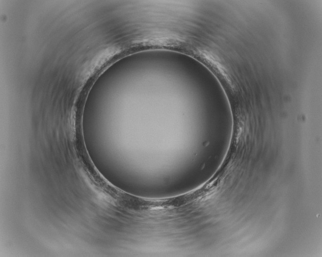 X0000088600678200705251215