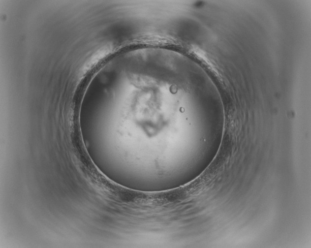 X0000088600679200705251215