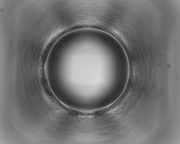 X0000088600680200705251215