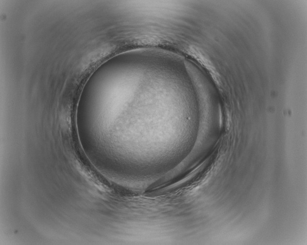 X0000088600681200705251215