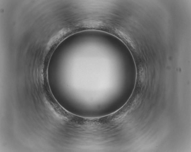 X0000088600682200705251215