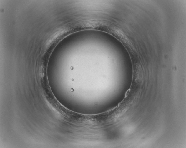 X0000088600683200705251215