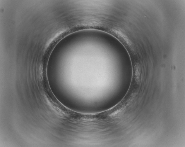 X0000088600684200705251215