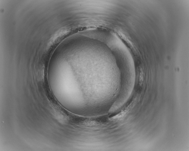 X0000088600685200705251214