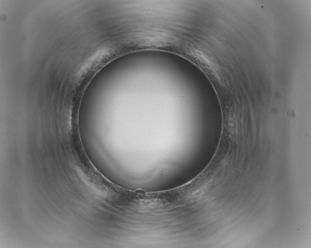 X0000088600686200705251214