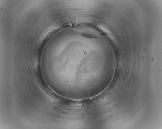 X0000088600687200705251214