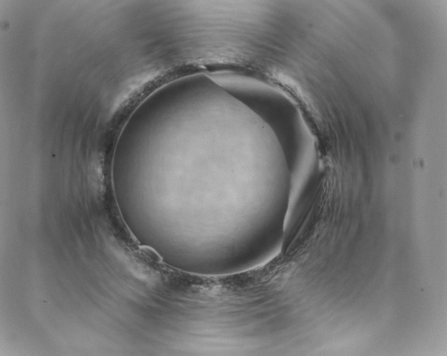 X0000088600688200705251214