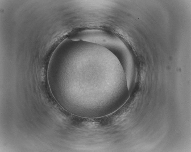 X0000088600689200705251214