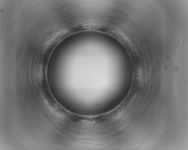 X0000088600690200705251214