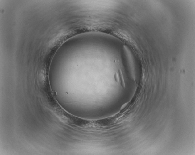 X0000088600691200705251214