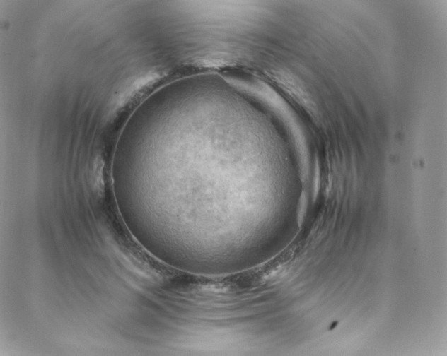 X0000088600692200705251214